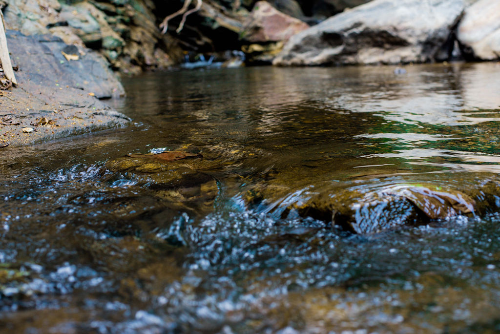 Fair Water Futures/Uhakika wa Maji